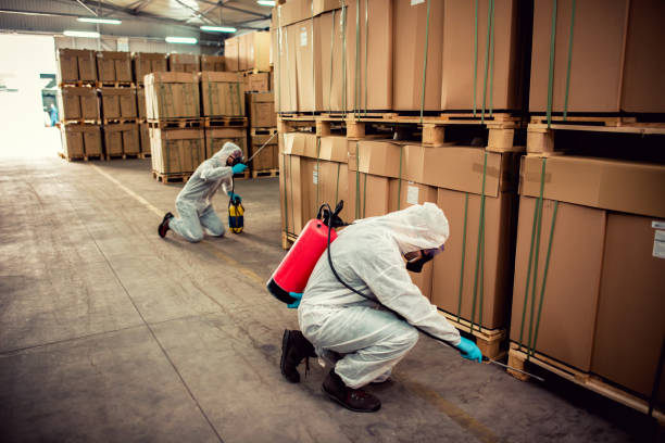 Best Affordable Pest Control Services  in Pleasantville, IA