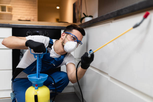 Best Pest Control for Homes  in Pleasantville, IA