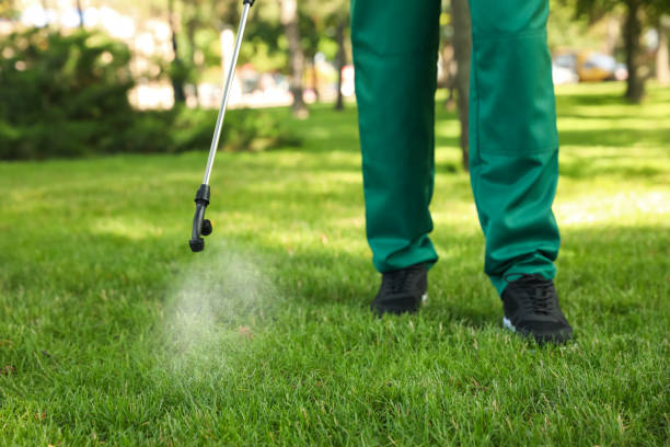 Best Exterminator Services  in Pleasantville, IA