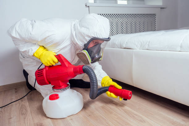 Best Cockroach Control Services  in Pleasantville, IA