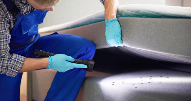 Best Bed Bug Extermination  in Pleasantville, IA
