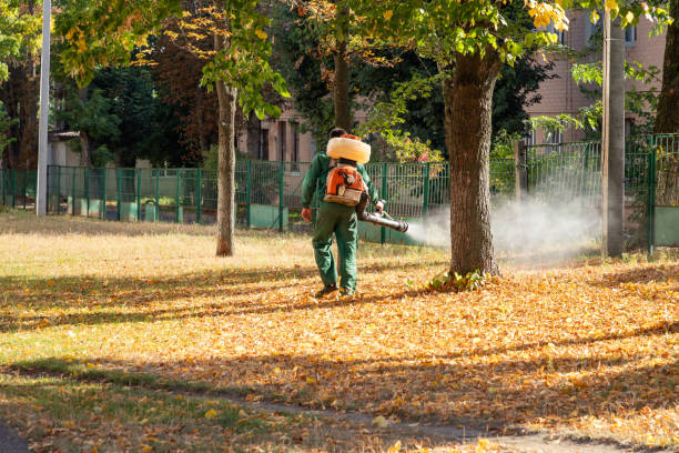 Best Wasp Removal Services  in Pleasantville, IA
