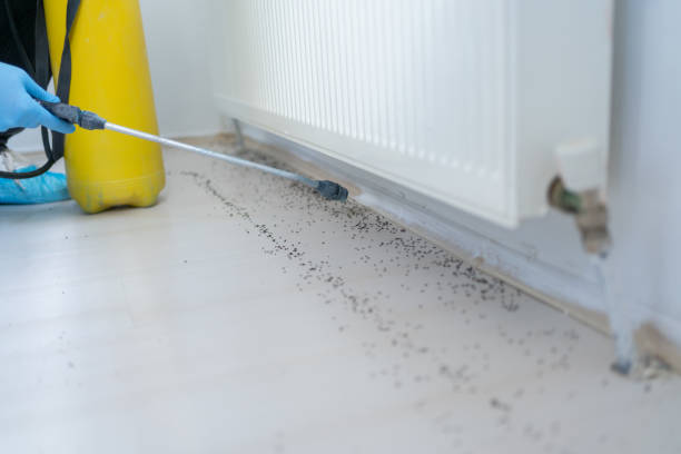  Pleasantville, IA Pest Control Pros